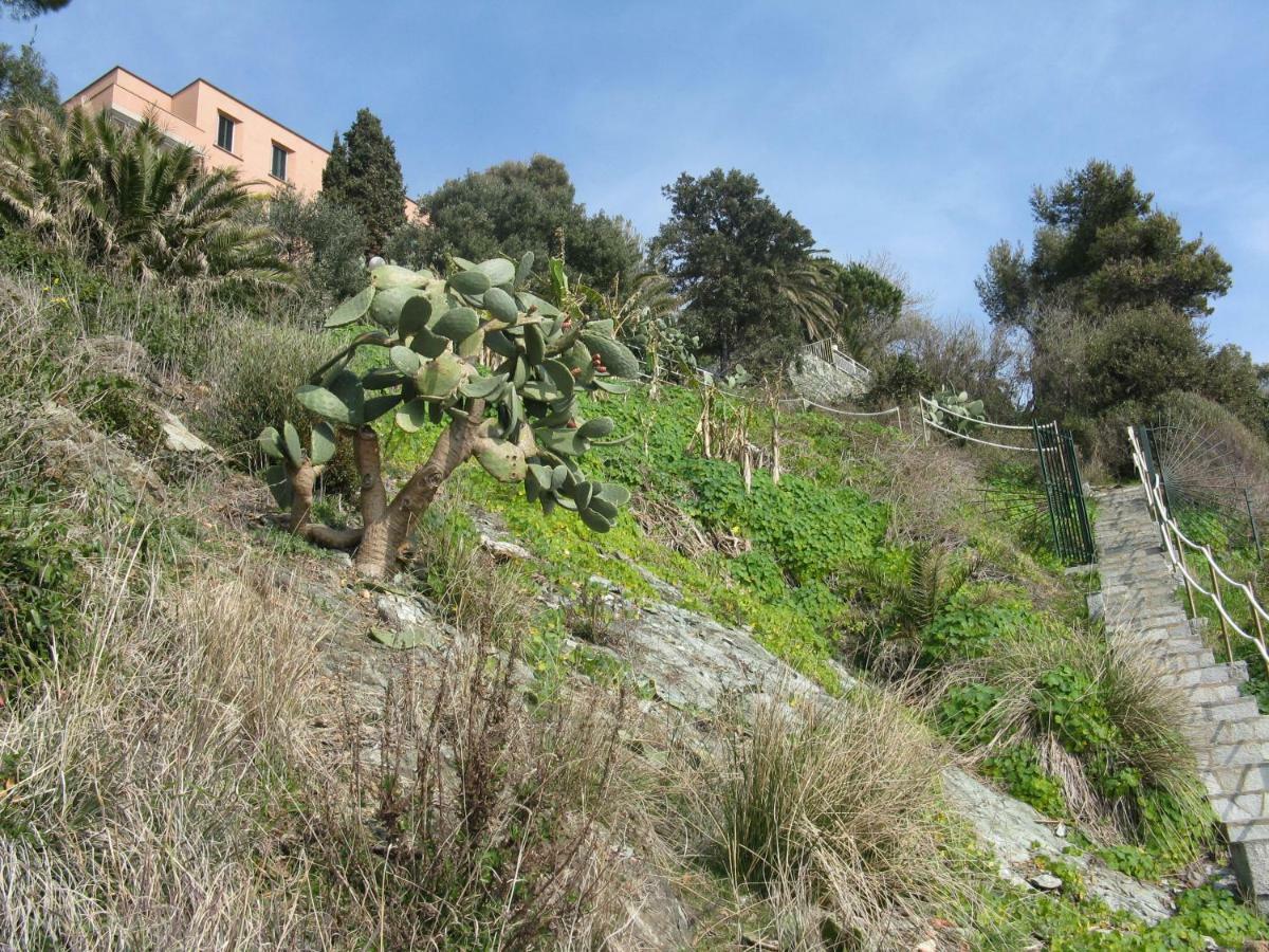 Casa Delle Mimose Apartamento Varazze Exterior foto